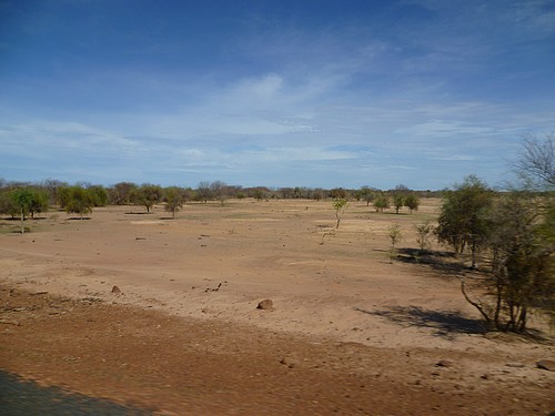 Paysage du Fouta (région du fleuve Sénégal)