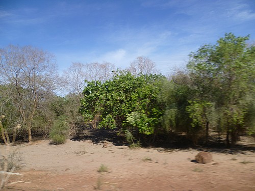 Paysage du Fouta (région du fleuve Sénégal)